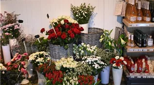 Zfc 2025-03-01 BK Blumen (6).JPG