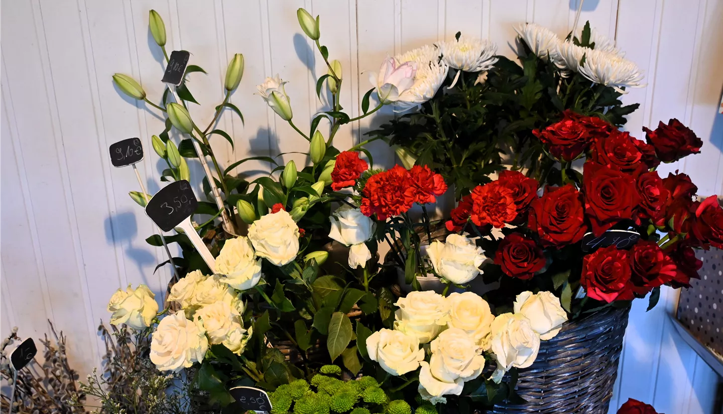 Zfc 2025-03-10 BK Blumen (10).JPG