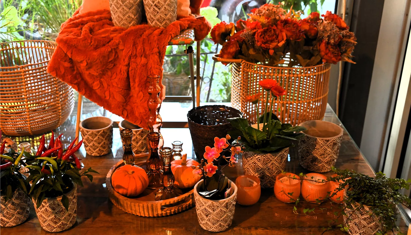 Z7 2025-09-15 BK Herbst (18).JPG