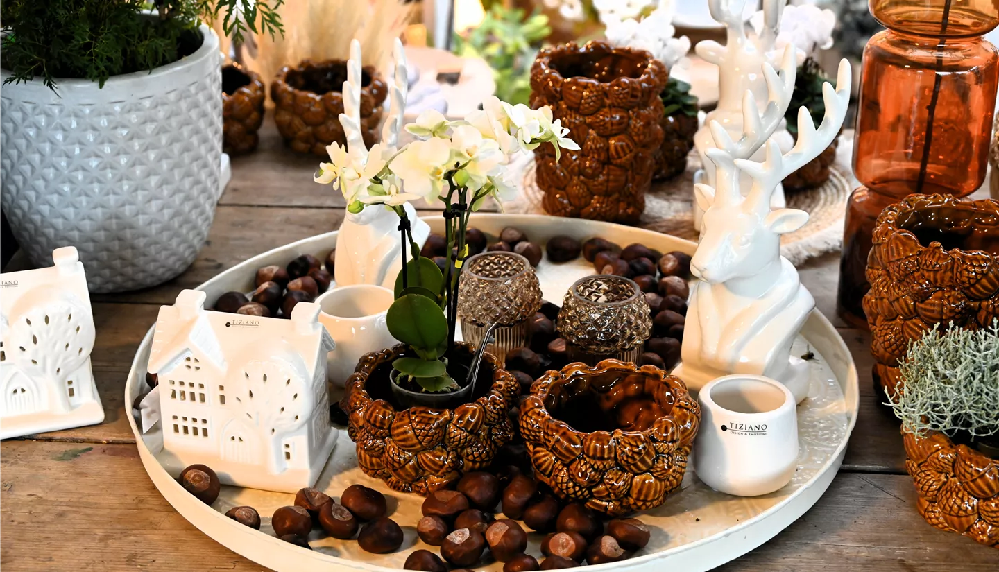 Z7 2025-10-17 BK Deko Herbst (1).JPG Z7 2025-10-17 BK Deko Herbst (1).JPG