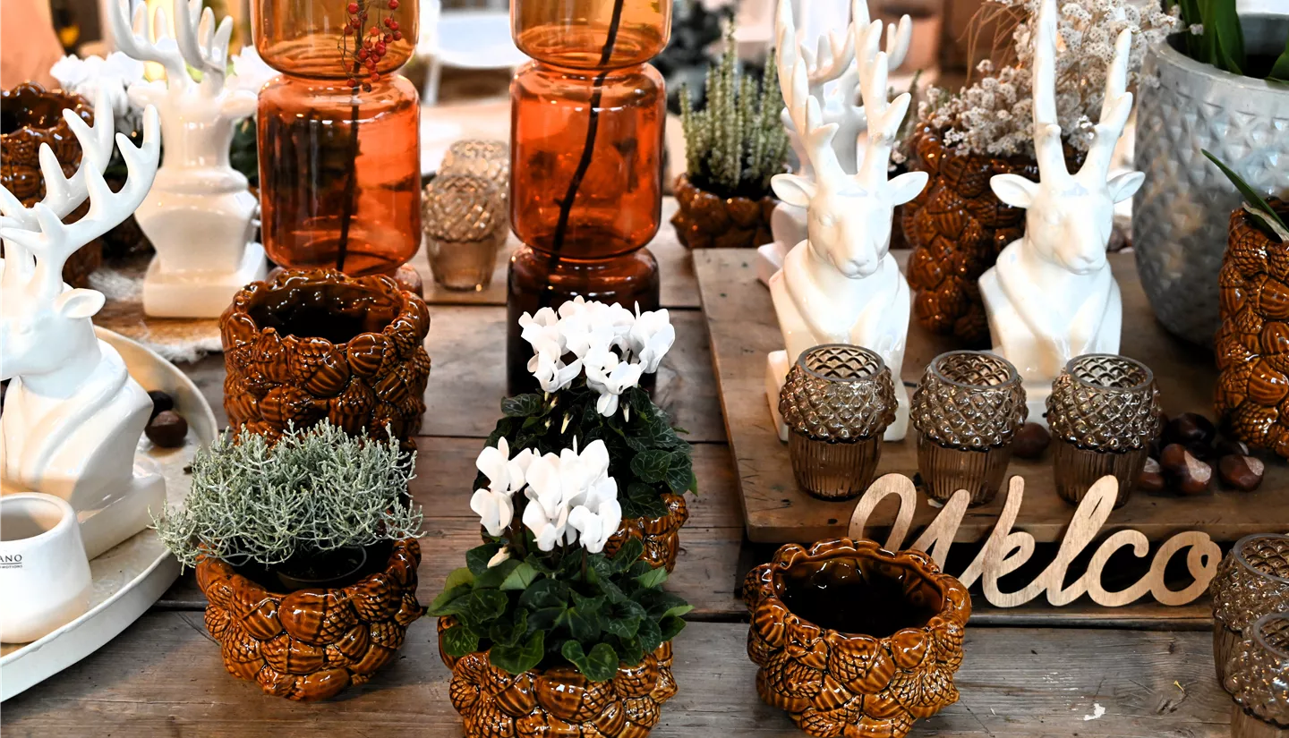 Z7 2025-10-17 BK Deko Herbst (2).JPG Z7 2025-10-17 BK Deko Herbst (2).JPG