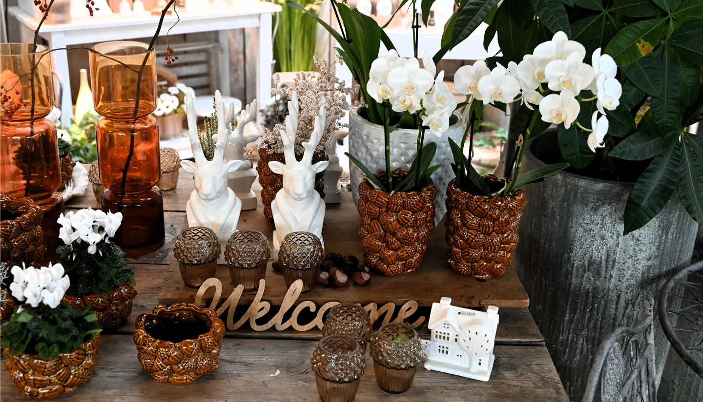 Z7 2025-10-17 BK Deko Herbst (3).JPG Z7 2025-10-17 BK Deko Herbst (3).JPG