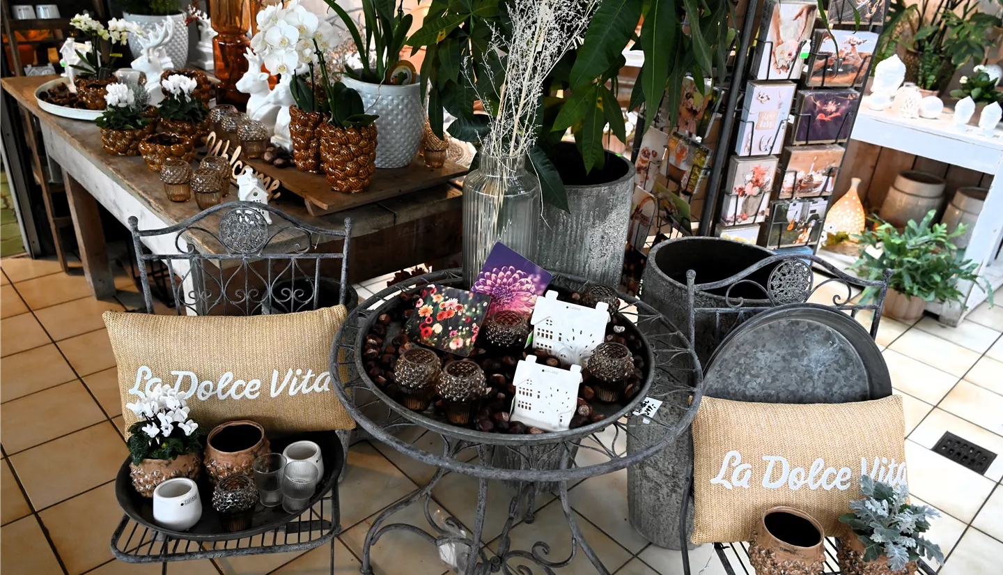 Z7 2025-10-17 BK Deko Herbst (4).JPG Z7 2025-10-17 BK Deko Herbst (4).JPG