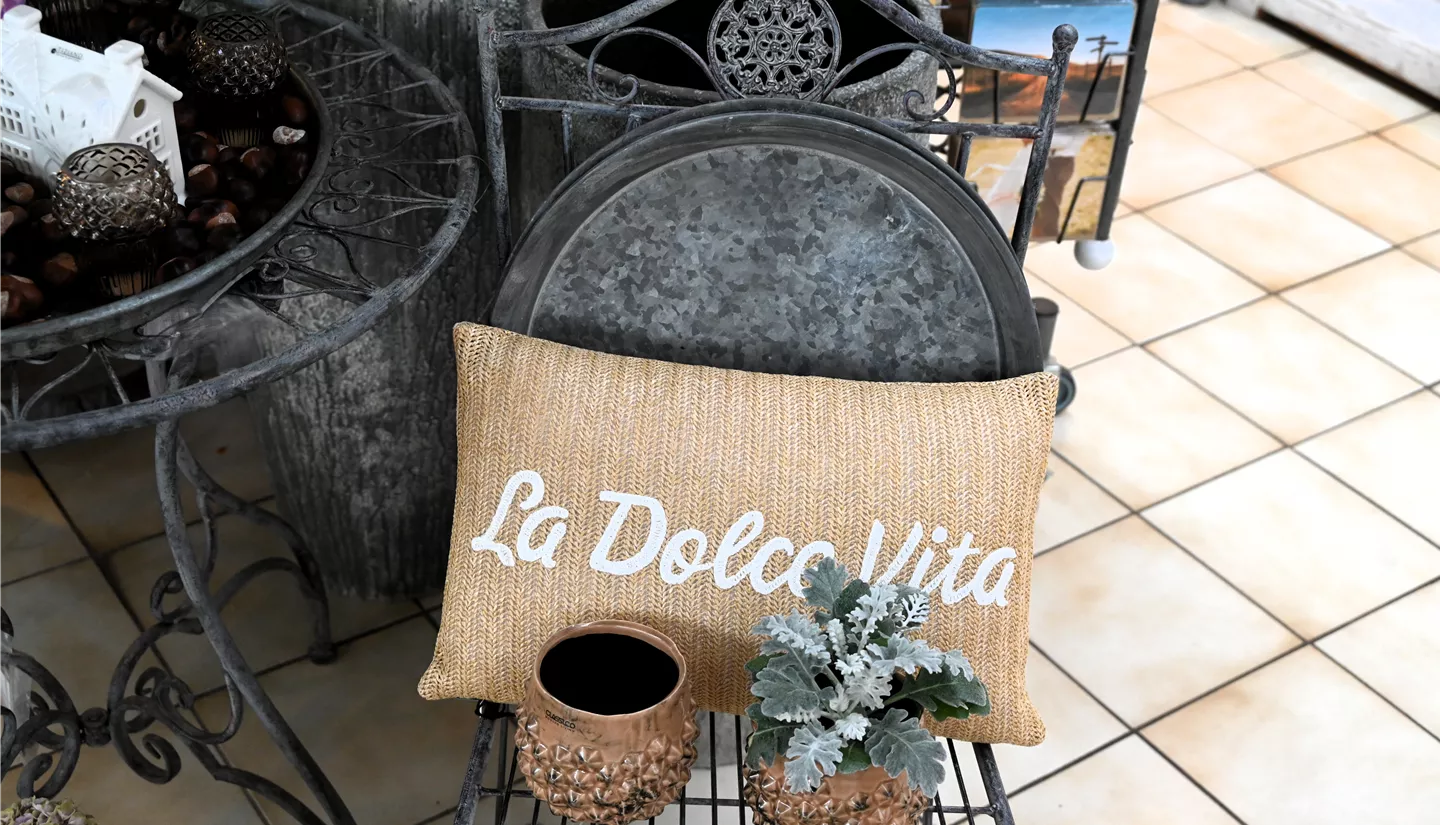 Z7 2025-10-17 BK Deko Herbst (6).JPG Z7 2025-10-17 BK Deko Herbst (6).JPG