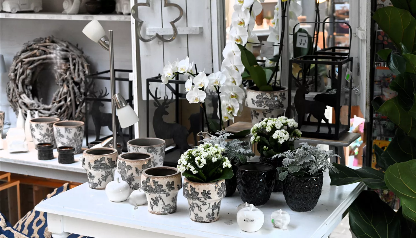 Z7 2025-10-17 BK Deko Herbst (8).JPG Z7 2025-10-17 BK Deko Herbst (8).JPG