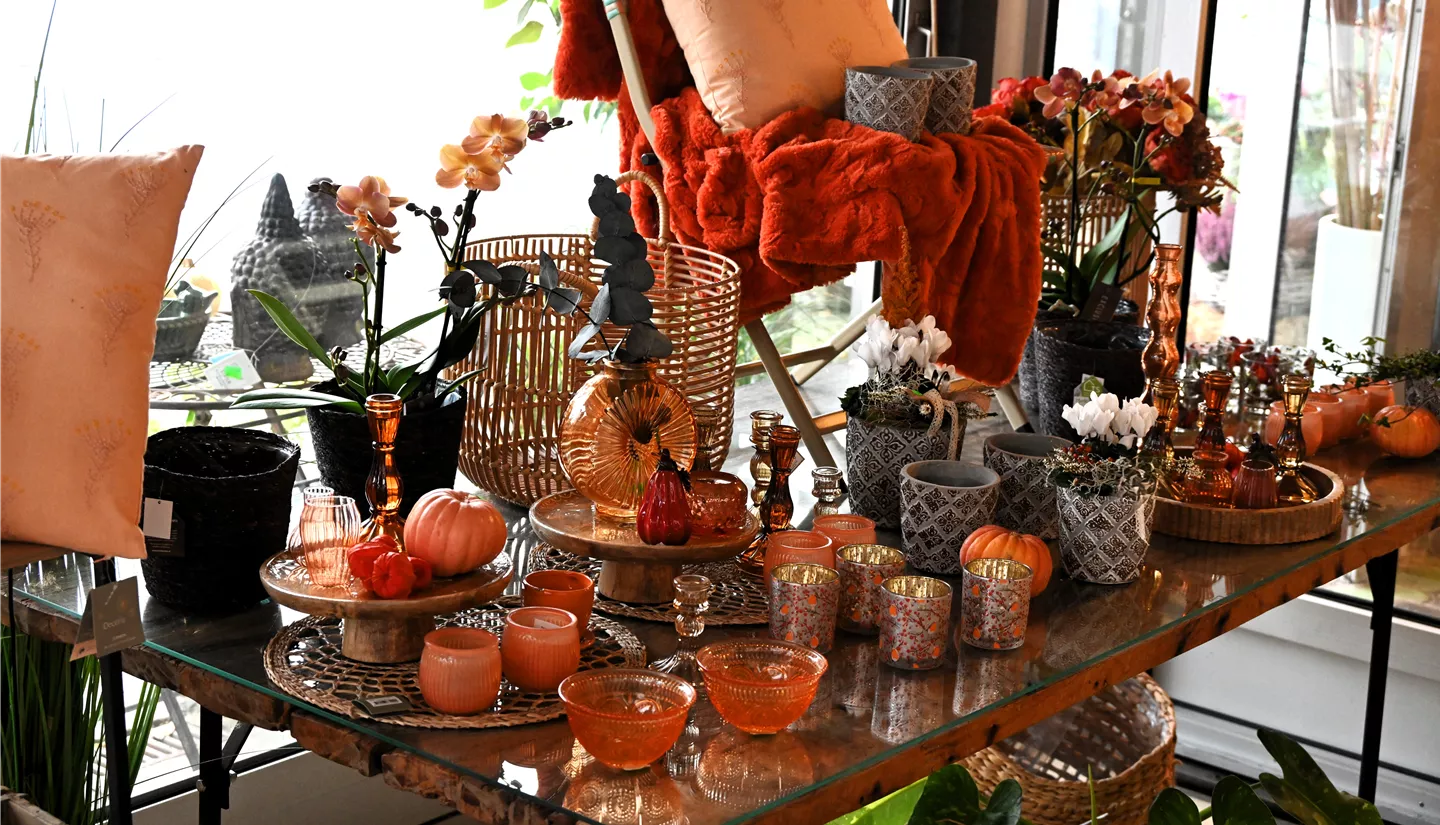 Z7 2025-10-17 BK Deko Herbst (9).JPG Z7 2025-10-17 BK Deko Herbst (9).JPG