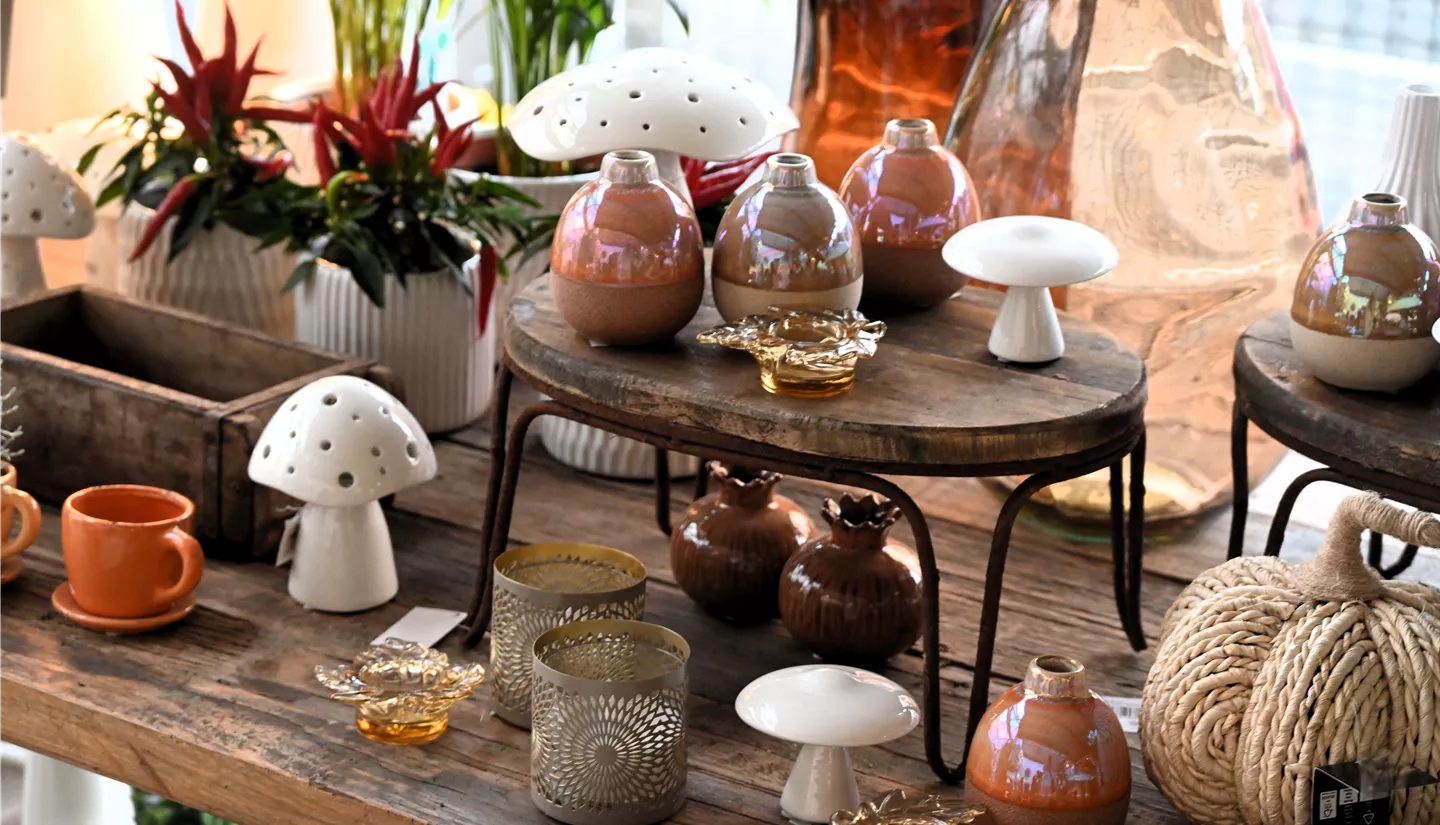 Z7 2025-10-17 BK Deko Herbst (13).JPG Z7 2025-10-17 BK Deko Herbst (13).JPG