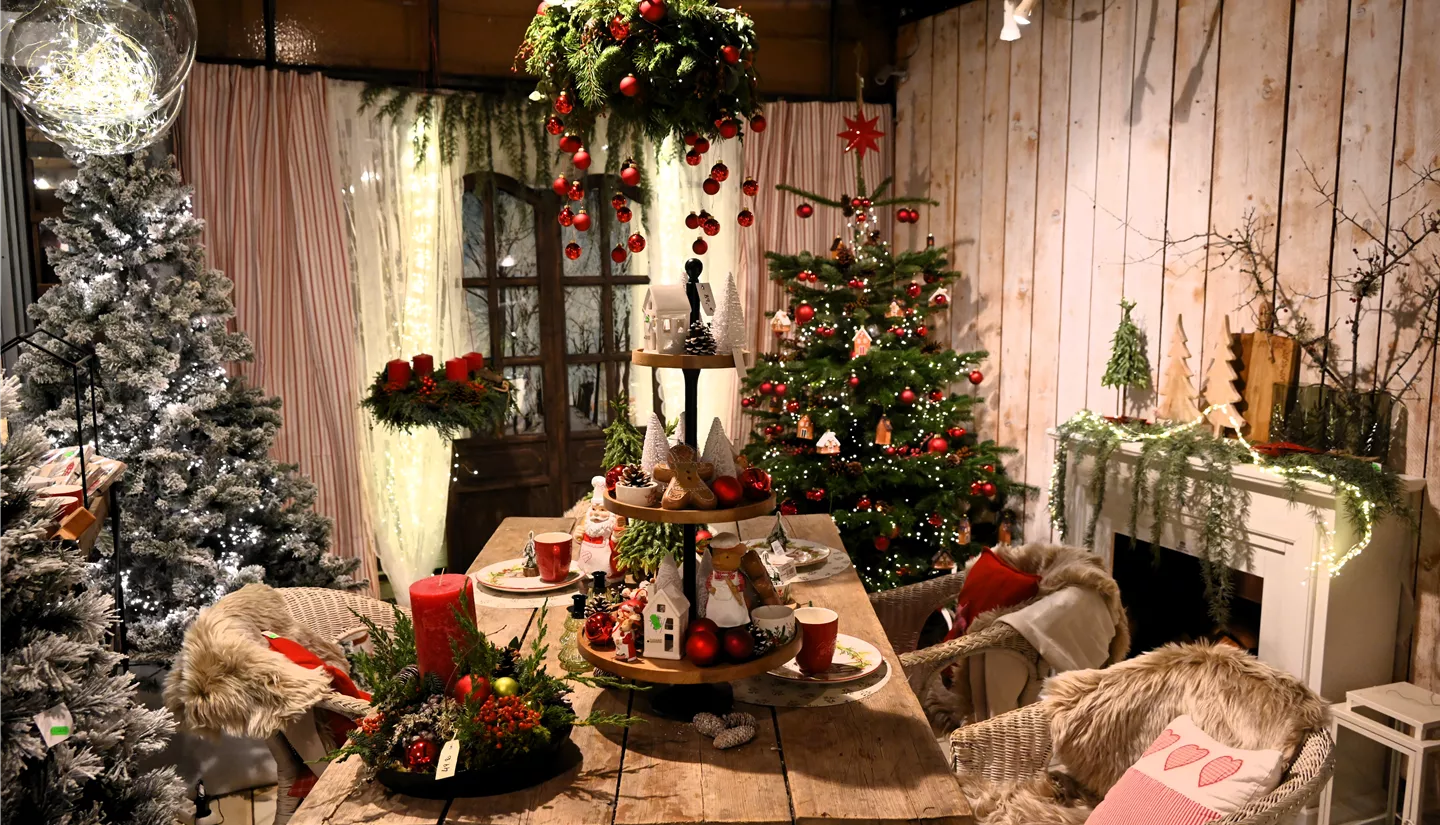 Z7 2025-11-14 BK Advent (7).JPG