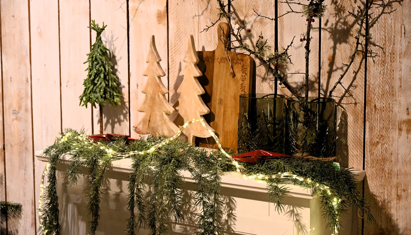 Z7 2025-11-14 BK Advent (13).JPG