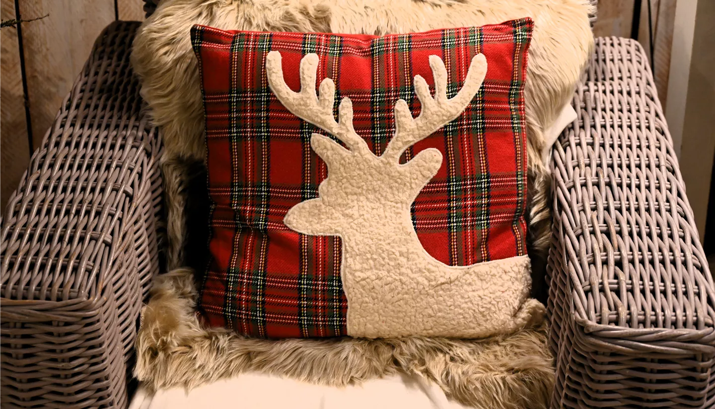 Z7 2025-11-14 BK Advent (18).JPG