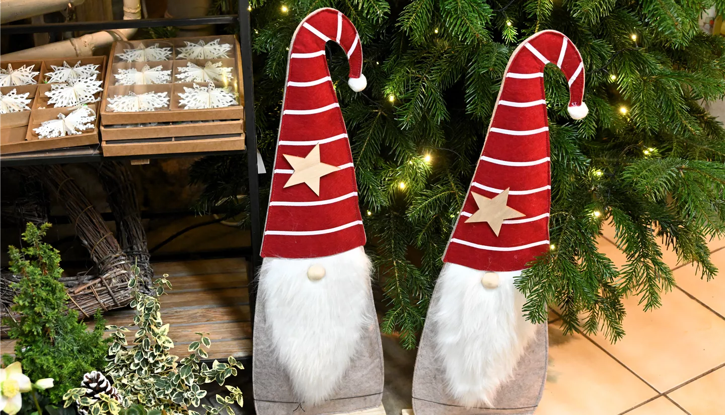 Z7 2025-11-14 BK Advent (22).JPG