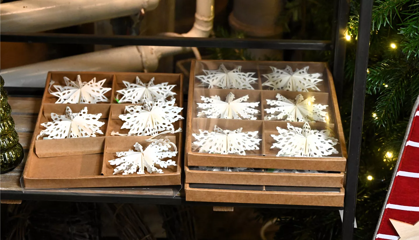 Z7 2025-11-14 BK Advent (23).JPG