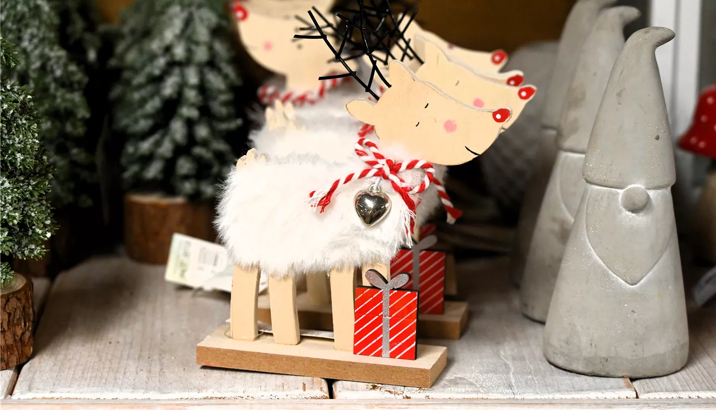 Z7 2025-11-14 BK Advent (52).JPG