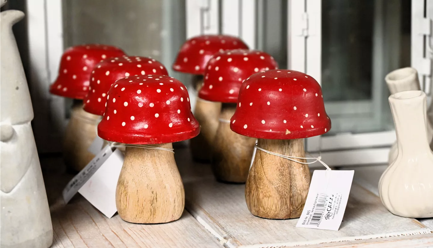 Z7 2025-11-14 BK Advent (53).JPG