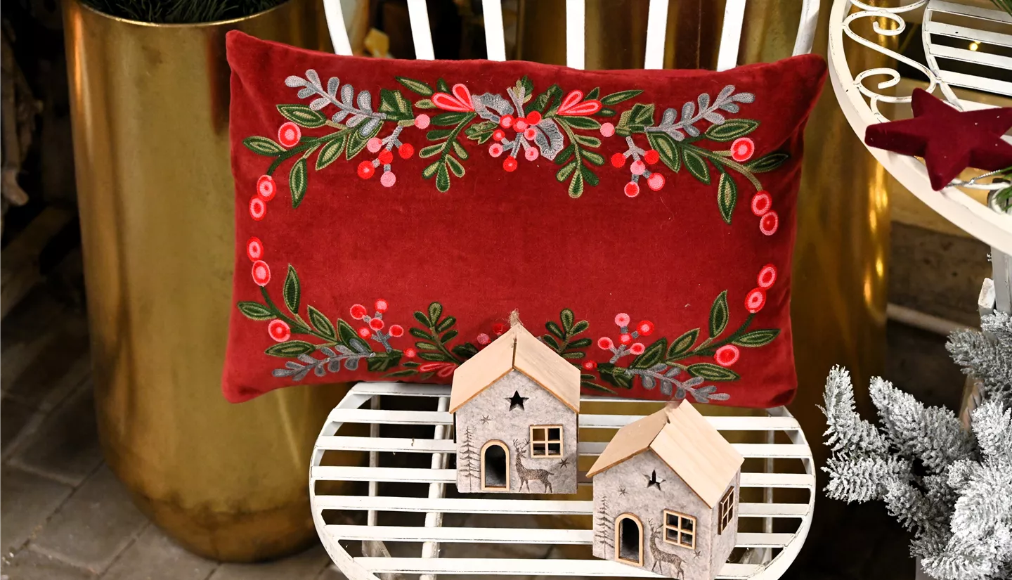 Z7 2025-11-14 BK Advent (55).JPG