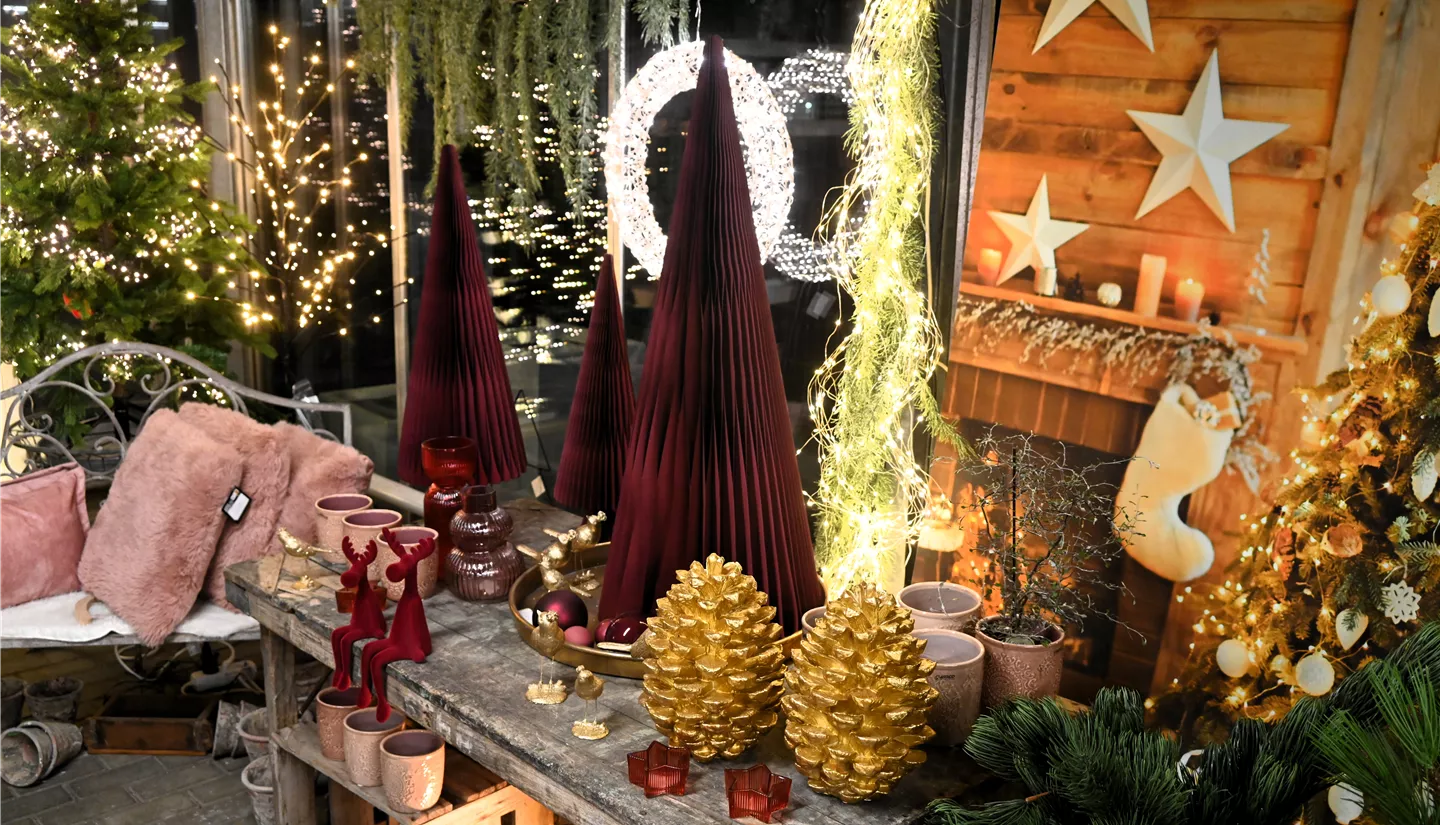 Z7 2025-11-14 BK Advent (56).JPG