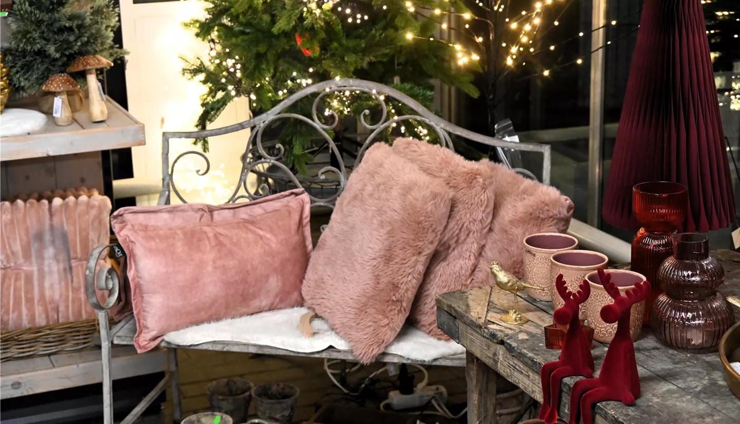 Z7 2025-11-14 BK Advent (58).JPG