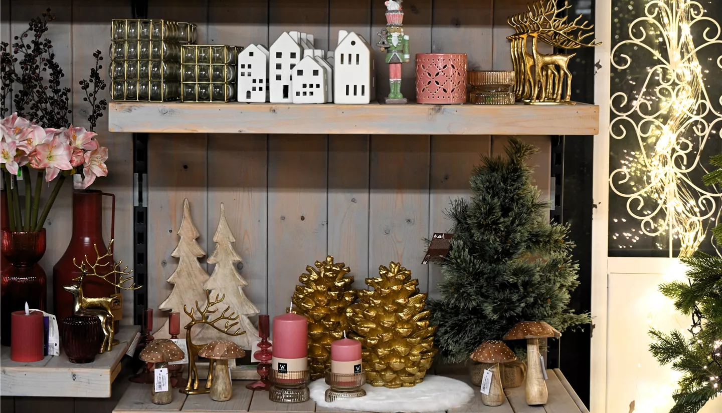 Z7 2025-11-14 BK Advent (59).JPG