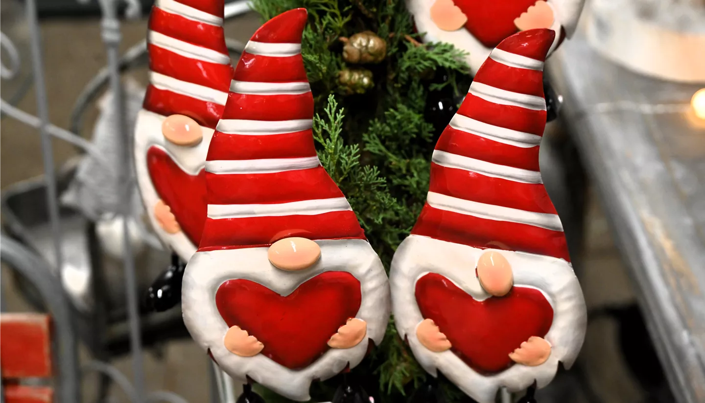 Z7 2025-11-14 BK Advent (104).JPG