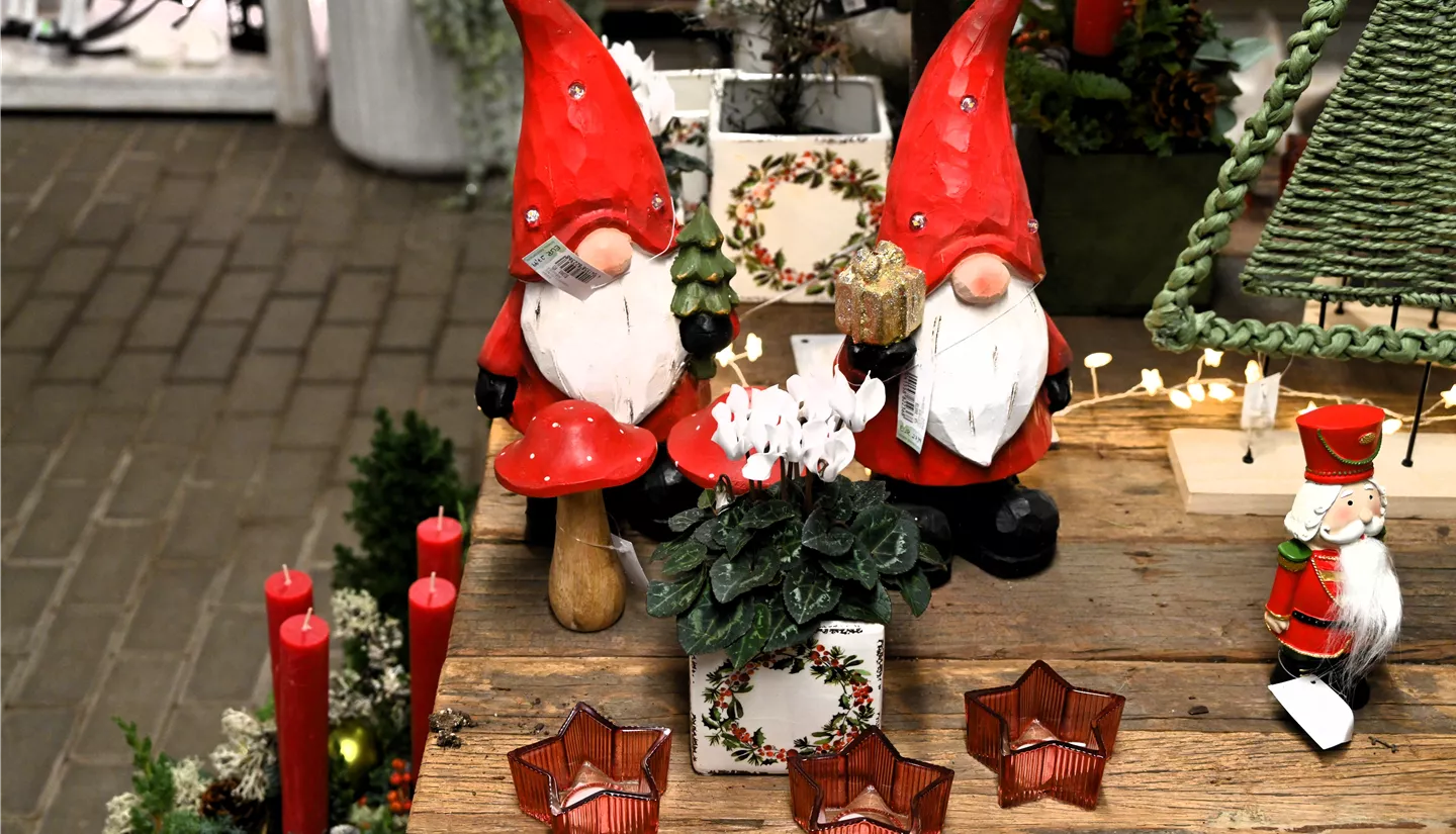 Z7 2025-11-14 BK Advent (107).JPG