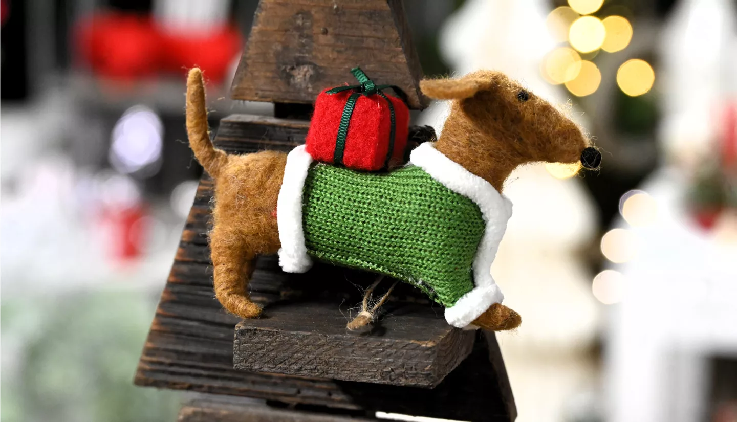 Z7 2025-11-14 BK Advent (110).JPG