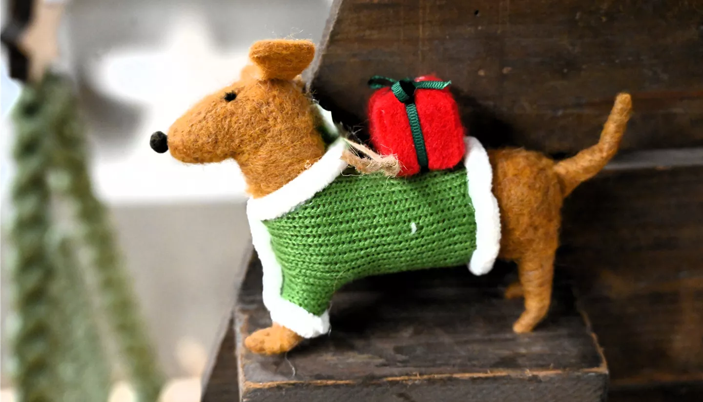 Z7 2025-11-14 BK Advent (111).JPG