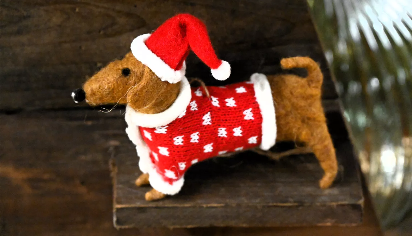 Z7 2025-11-14 BK Advent (112).JPG