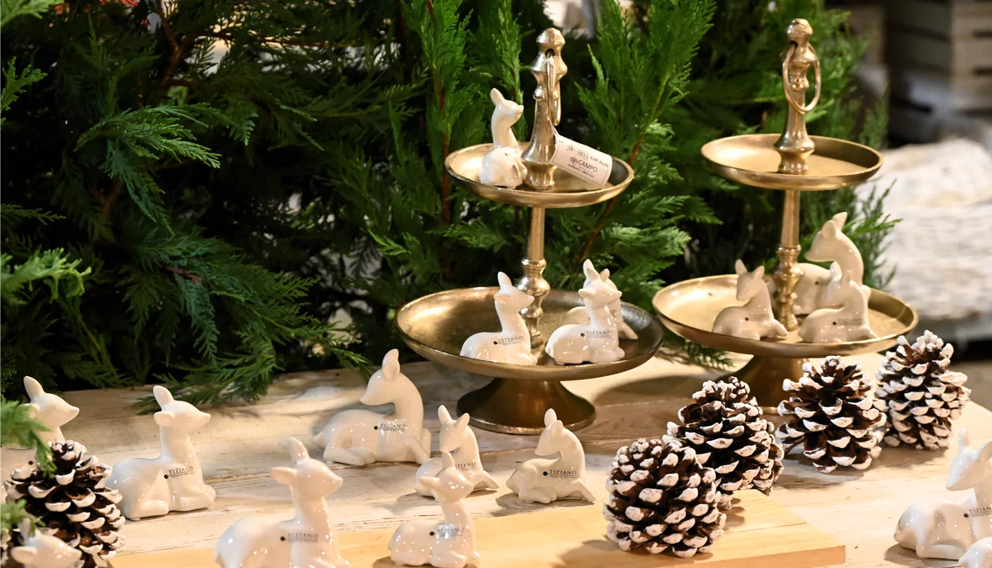 Z7 2025-11-14 BK Advent (73).JPG