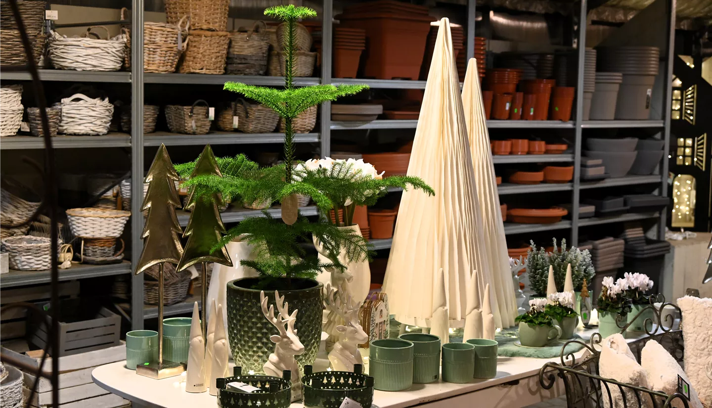 Z7 2025-11-14 BK Advent (74).JPG