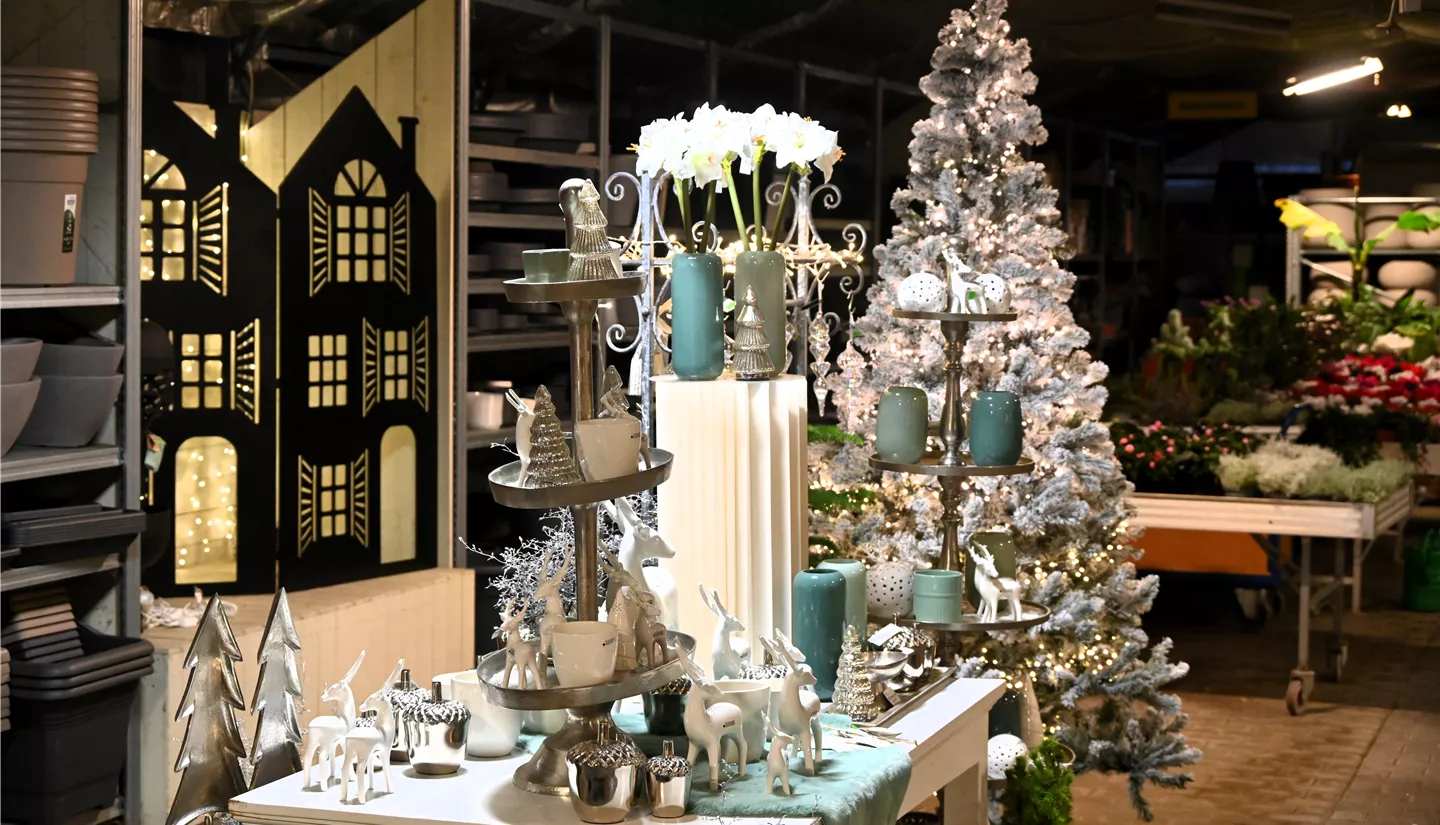 Z7 2025-11-14 BK Advent (76).JPG