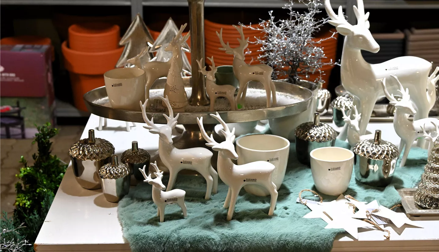 Z7 2025-11-14 BK Advent (77).JPG