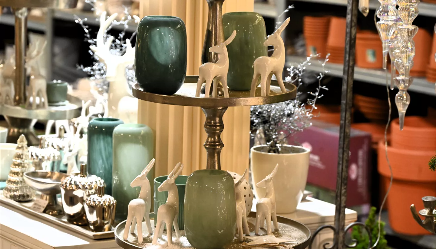 Z7 2025-11-14 BK Advent (83).JPG