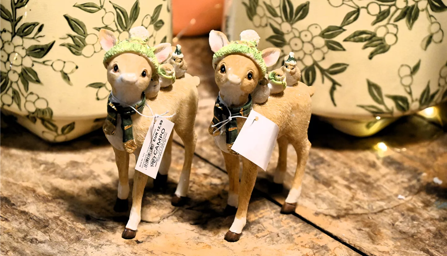 Z7 2025-11-14 BK Advent (86).JPG