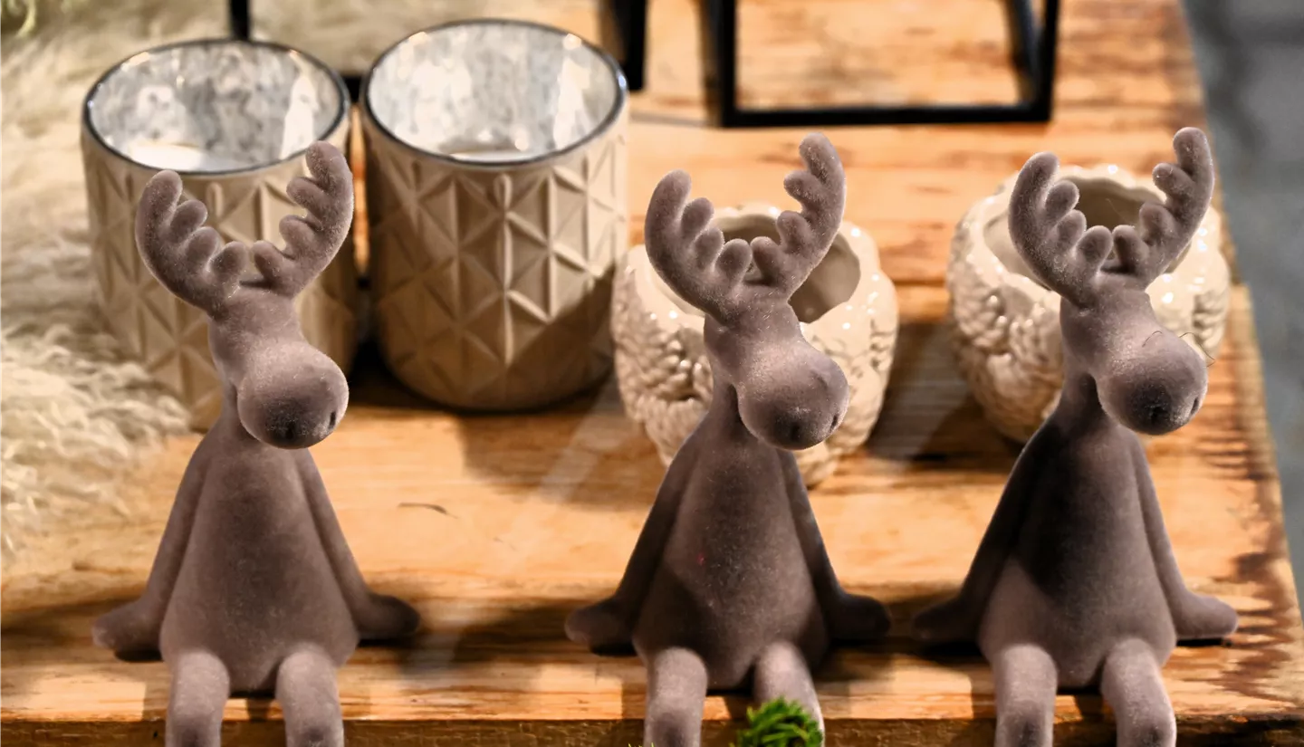 Z7 2025-11-14 BK Advent (87).JPG