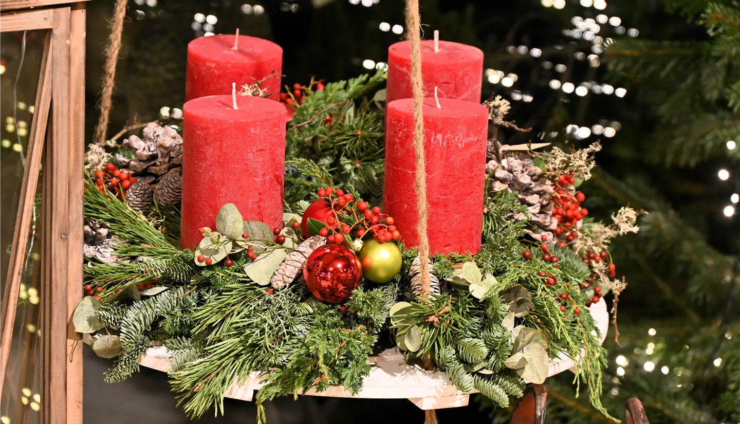 Z7 2025-11-14 BK Advent (4).JPG