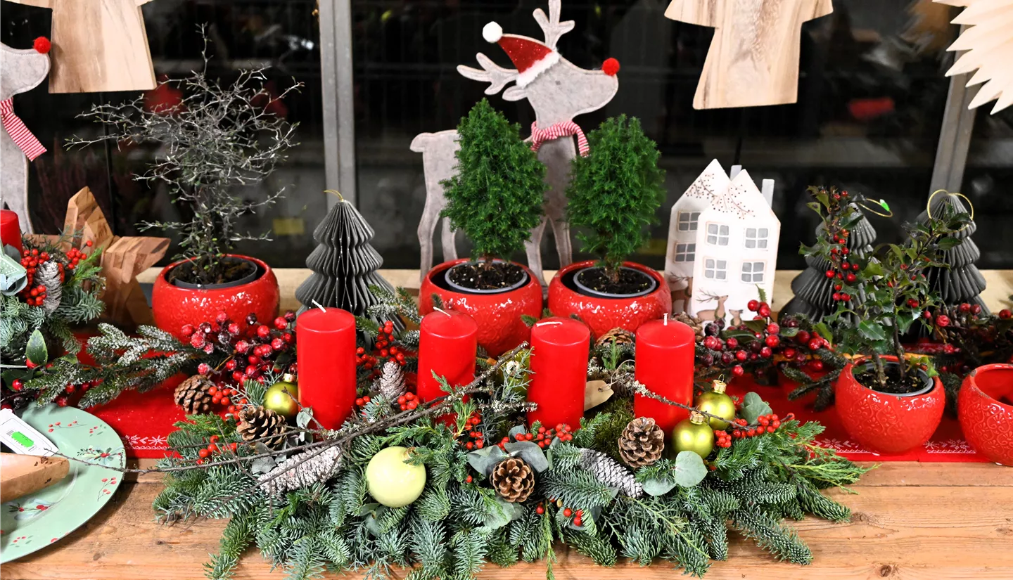 Z7 2025-11-14 BK Advent (33).JPG