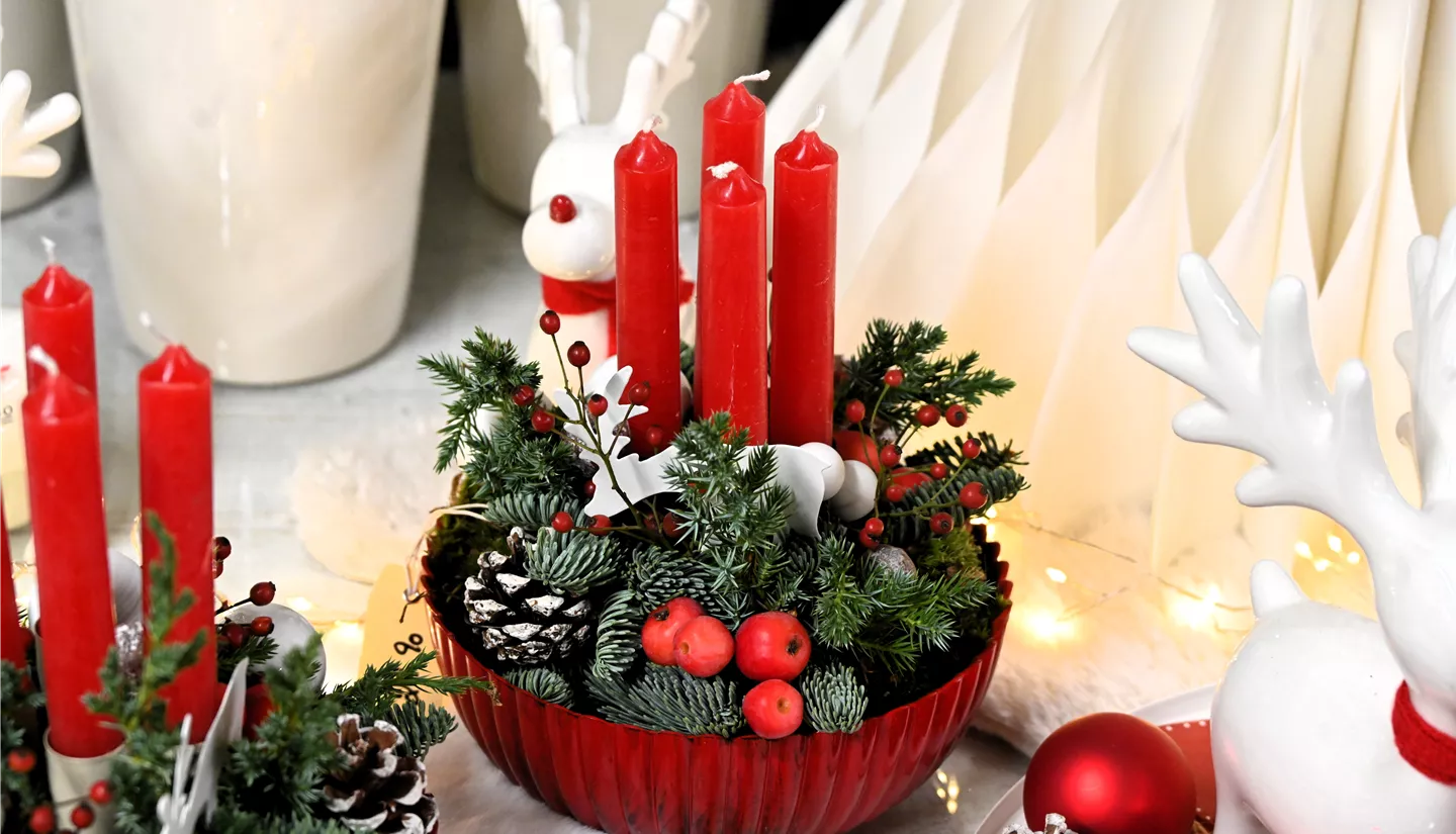 Z7 2025-11-14 BK Advent (39).JPG