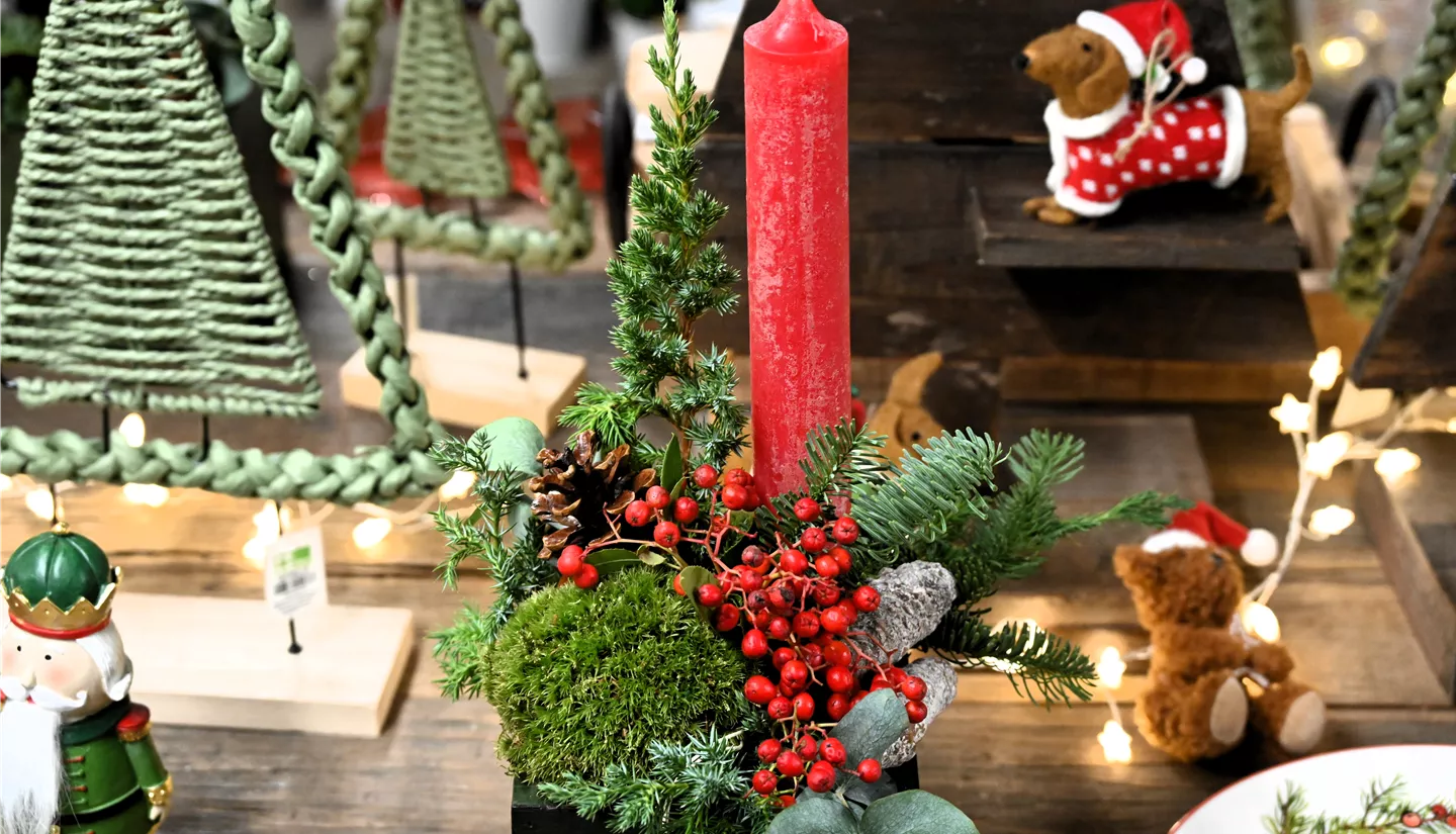 Z7 2025-11-14 BK Advent (109).JPG