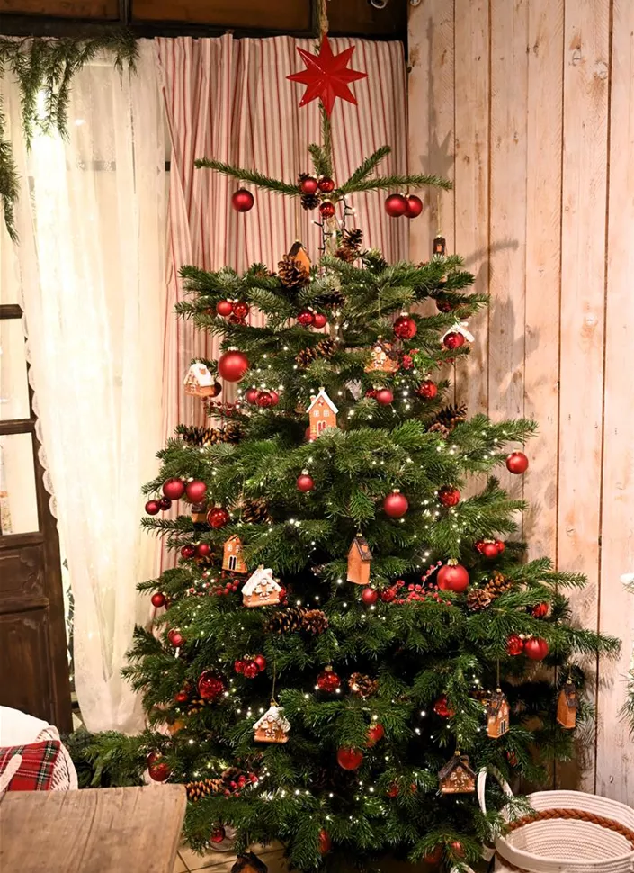 Z7 2025-11-14 BK Advent (2).JPG