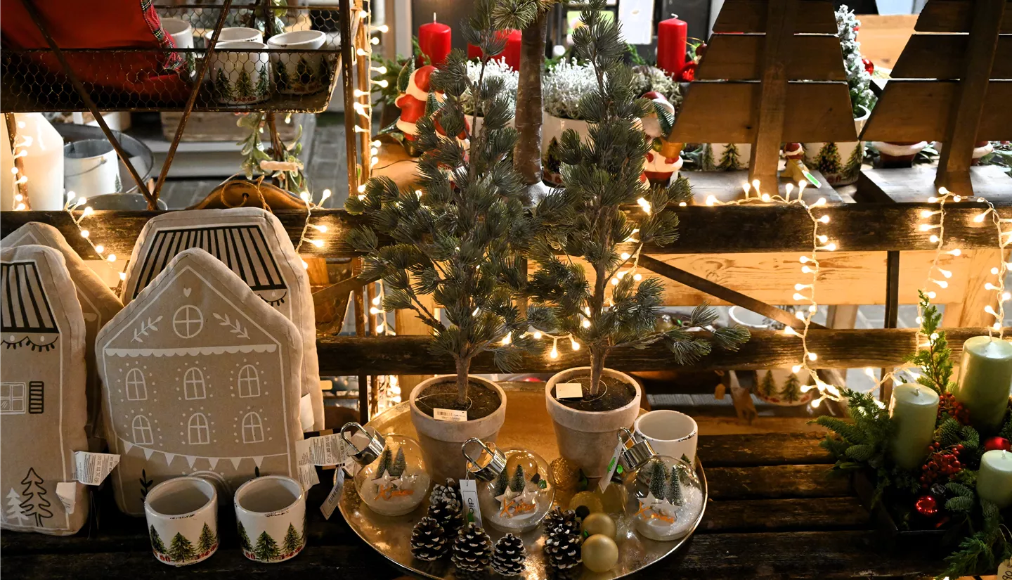 Z7 2025-11-20 BK Ausstellung (46).JPG