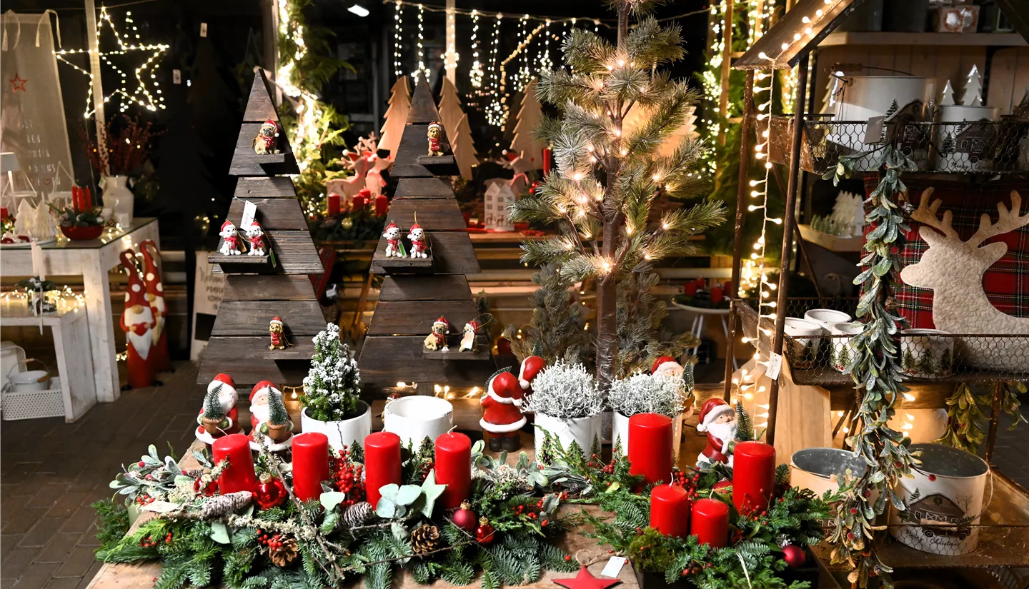 Z7 2025-11-20 BK Ausstellung (49).JPG