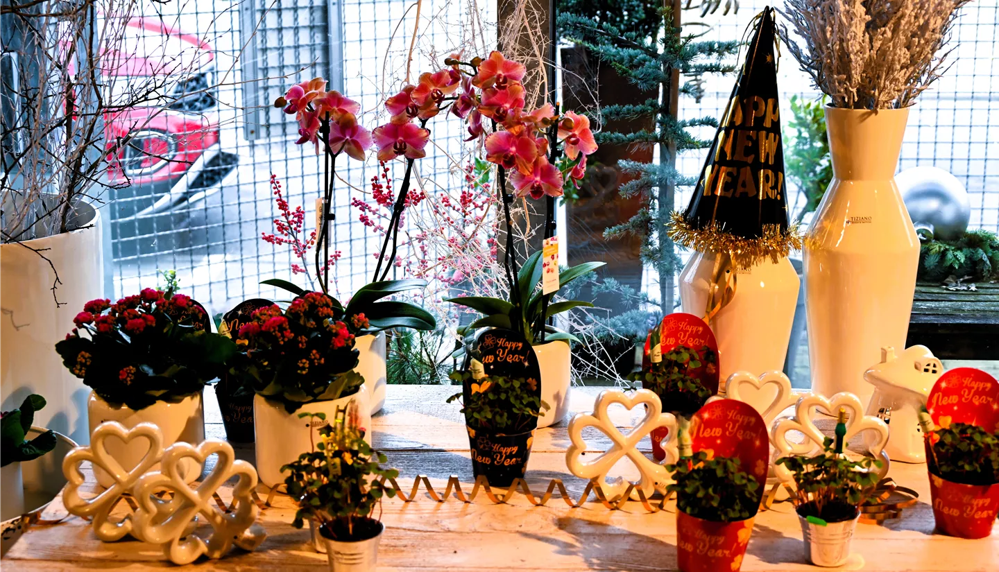 Z7 2025-12-29 BK Silvester (21).JPG