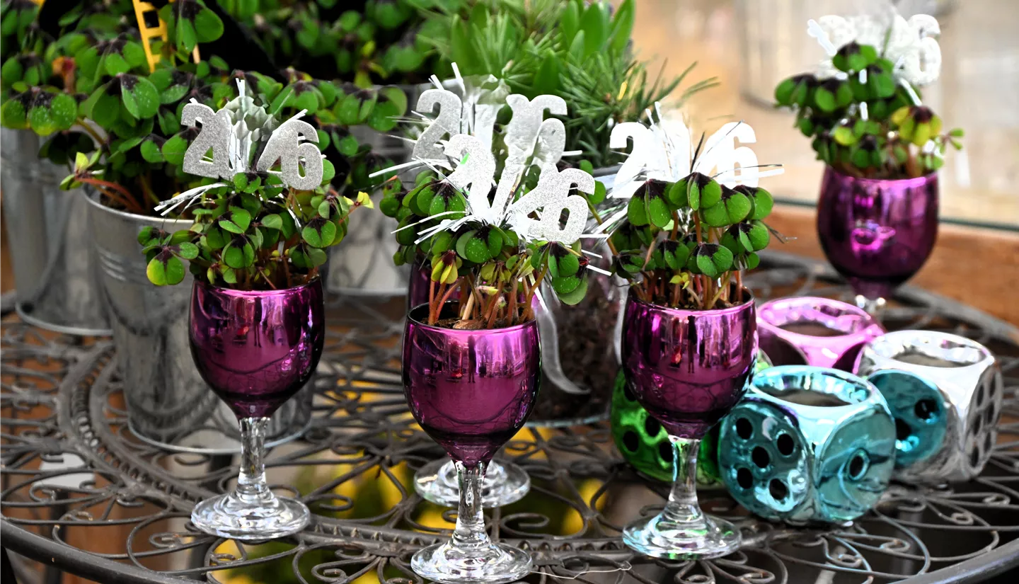 Z7 2025-12-29 BK Silvester (15).JPG