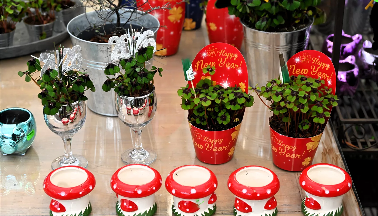 Z7 2025-12-29 BK Silvester (16).JPG