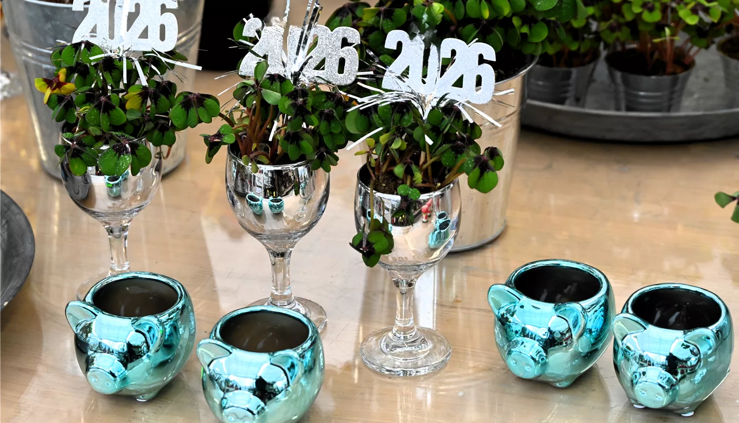 Z7 2025-12-29 BK Silvester (17).JPG