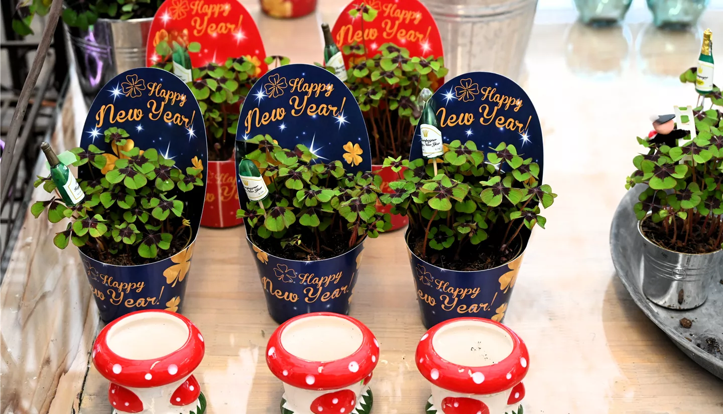 Z7 2025-12-29 BK Silvester (18).JPG