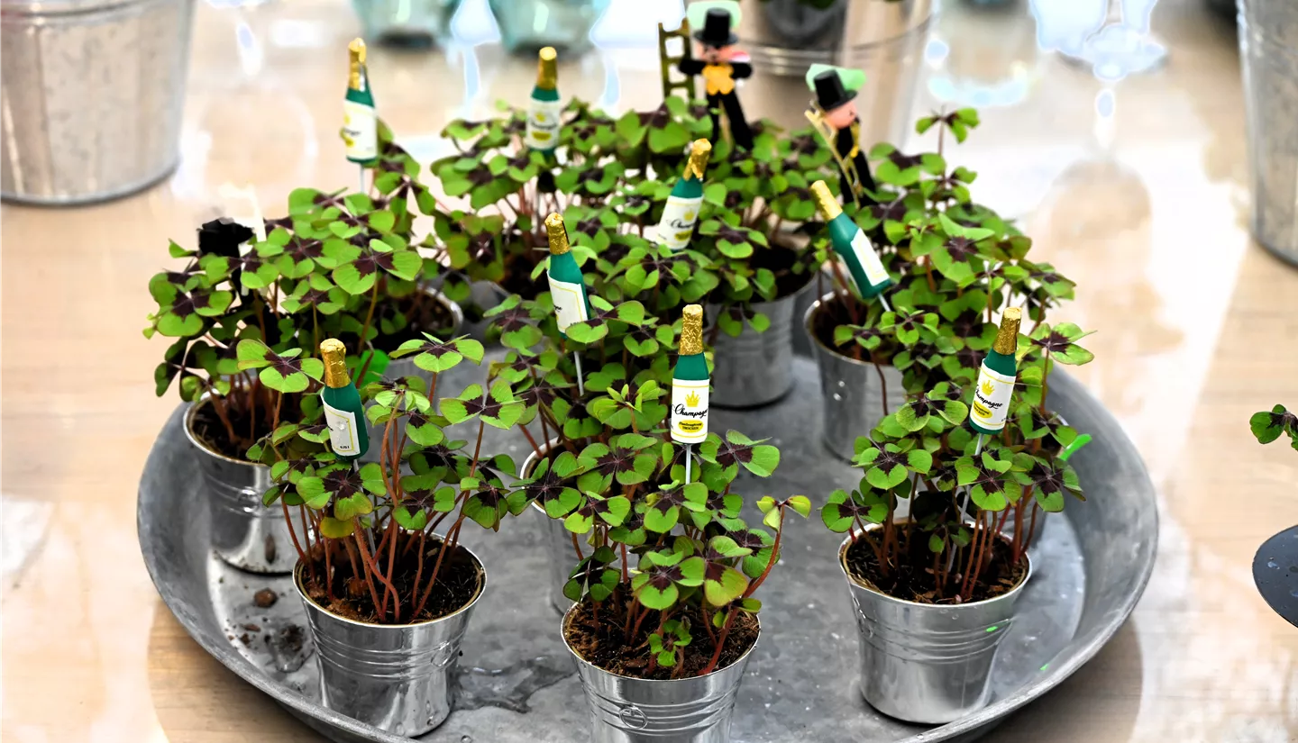 Z7 2025-12-29 BK Silvester (19).JPG