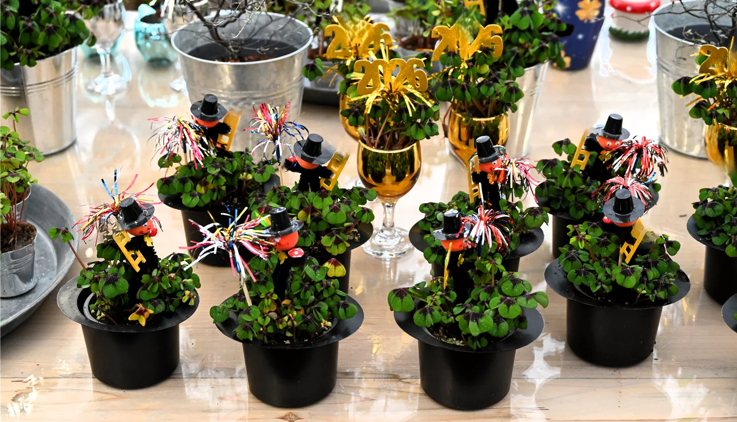 Z7 2025-12-29 BK Silvester (20).JPG