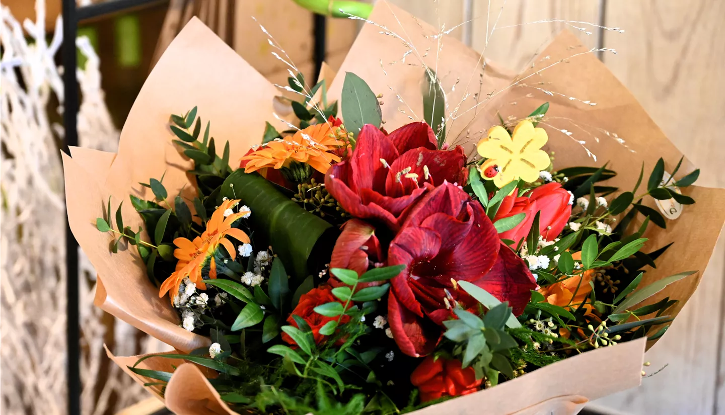 Z7 2025-12-29 BK Silvester (1).JPG