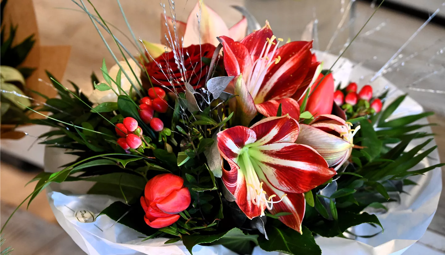 Z7 2025-12-29 BK Silvester (4).JPG